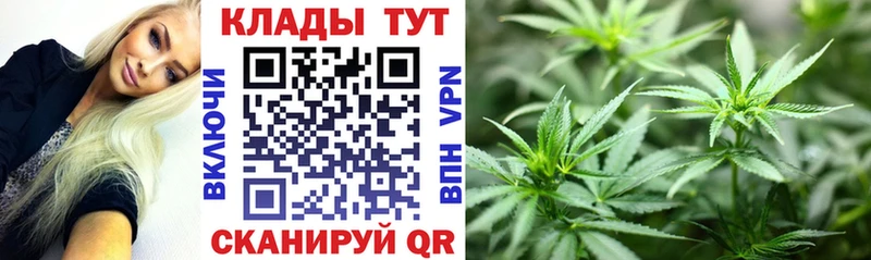 Купить наркотик Долгопрудный Кокаин  Alpha-PVP  Марихуана  Псилоцибиновые грибы  ГАШИШ  ГЕРОИН  Амфетамин 