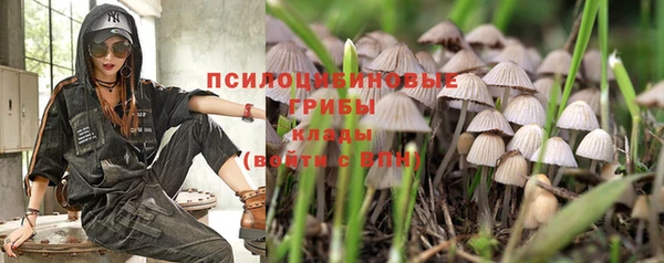 ALPHA PVP Армянск