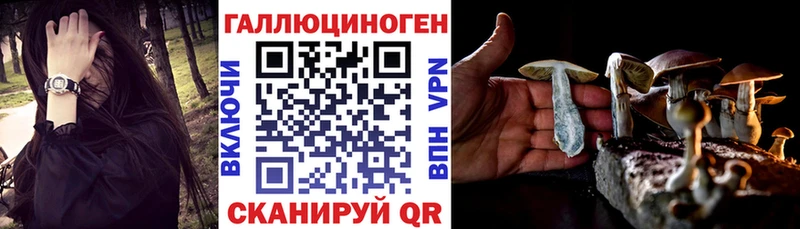 Псилоцибиновые грибы GOLDEN TEACHER  Долгопрудный 
