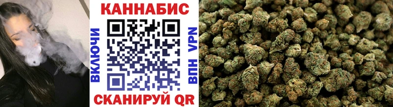 Конопля план  где можно купить   Долгопрудный 